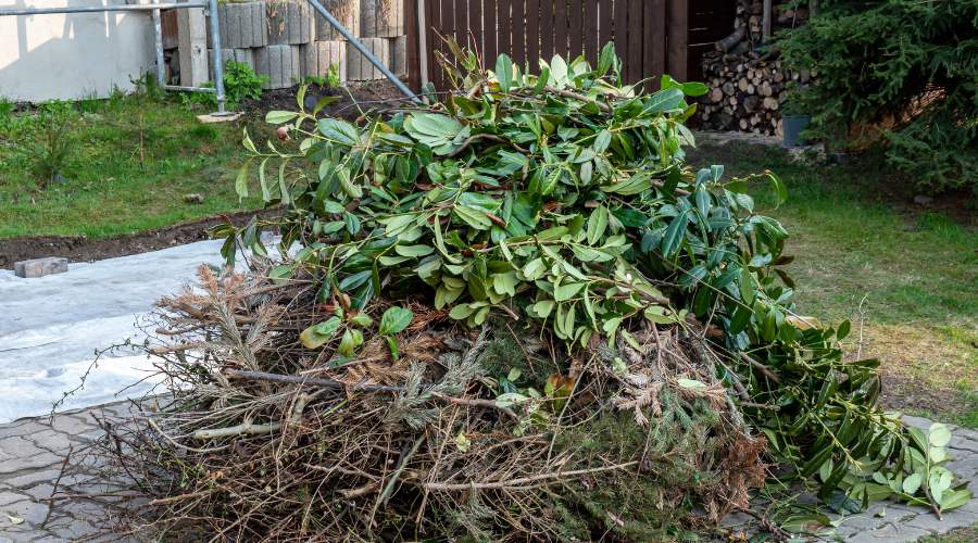 How To Dispose Of Garden Waste