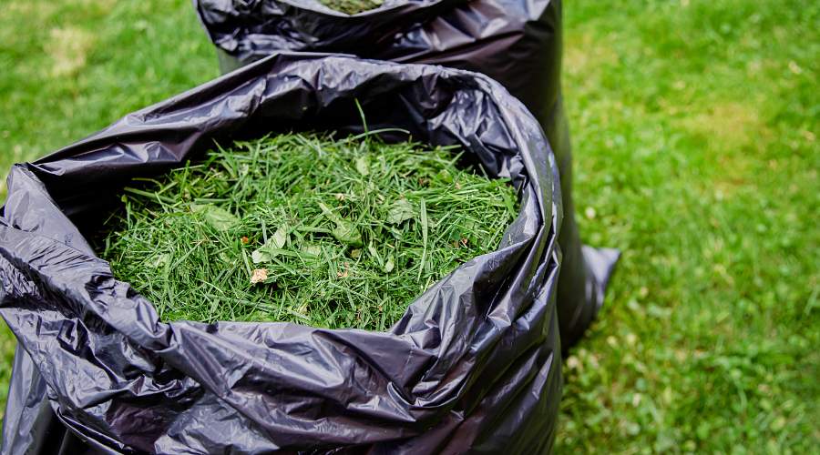 How to Remove Green Waste